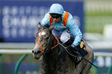 dead cert horse racing tips|Horse racing tips .